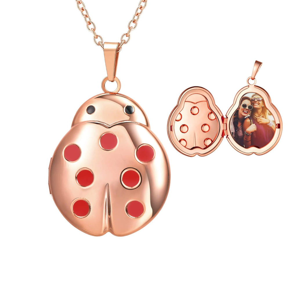U7 Jewelry Engraved Ladybug Locket Necklace With Picture 